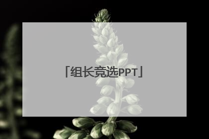 组长竞选PPT