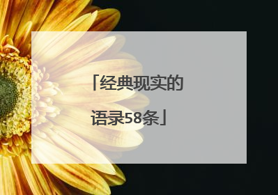 经典现实的语录58条