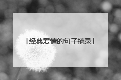 经典爱情的句子摘录