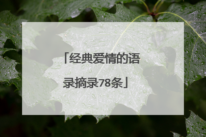 经典爱情的语录摘录78条