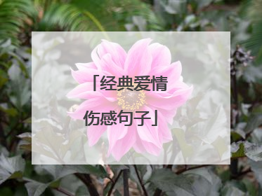 经典爱情伤感句子