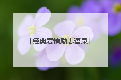 经典爱情励志语录