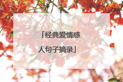 经典爱情感人句子摘录