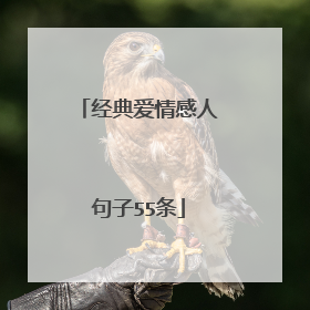 经典爱情感人句子55条