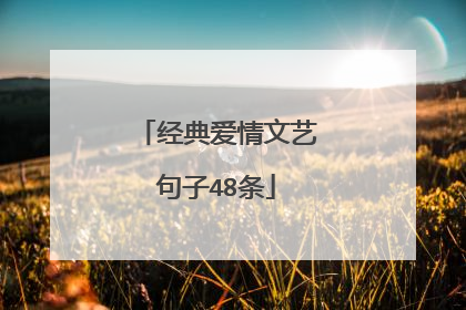 经典爱情文艺句子48条