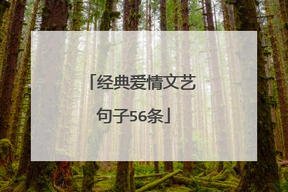 经典爱情文艺句子56条