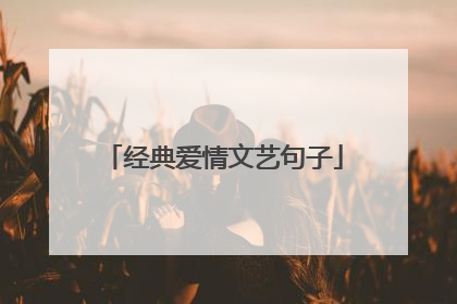 经典爱情文艺句子