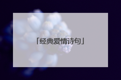 经典爱情诗句