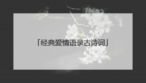 经典爱情语录古诗词