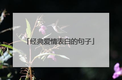 经典爱情表白的句子