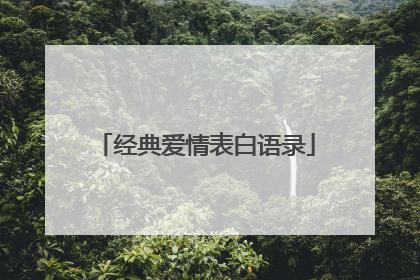 经典爱情表白语录