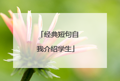 经典短句自我介绍学生