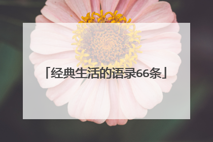 经典生活的语录66条