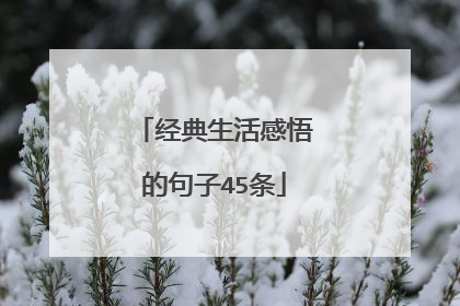 经典生活感悟的句子45条