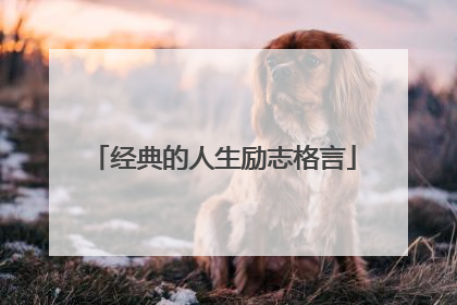 经典的人生励志格言