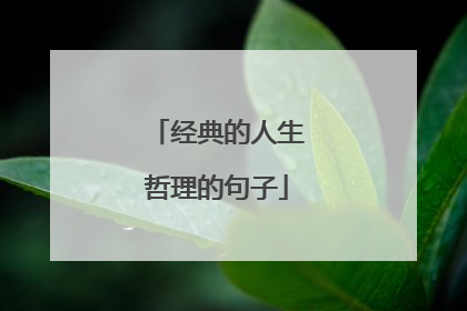 经典的人生哲理的句子