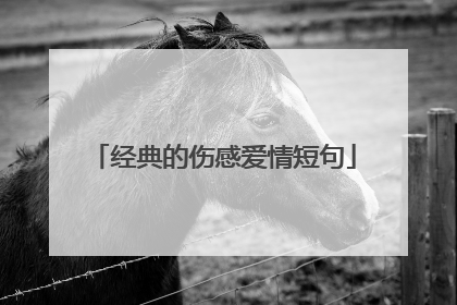 经典的伤感爱情短句