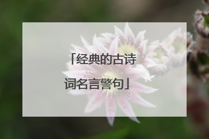 经典的古诗词名言警句