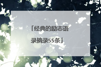 经典的励志语录摘录55条