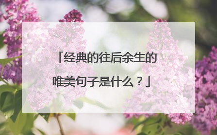 经典的往后余生的唯美句子是什么？