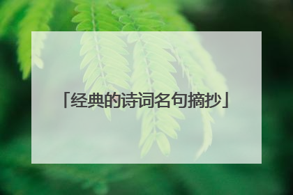 经典的诗词名句摘抄