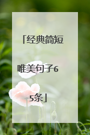 经典简短唯美句子65条