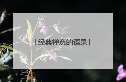 经典禅意的语录