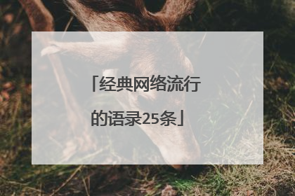 经典网络流行的语录25条