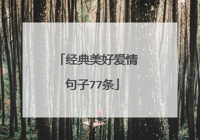 经典美好爱情句子77条