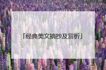 经典美文摘抄及赏析