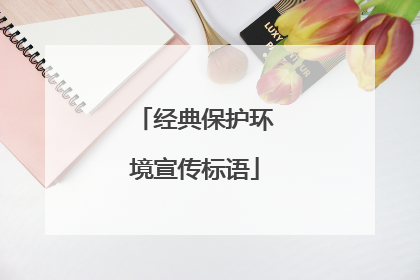 经典保护环境宣传标语