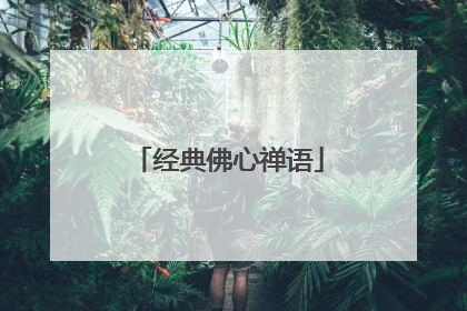 经典佛心禅语