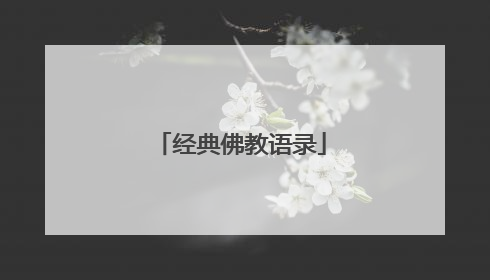 经典佛教语录