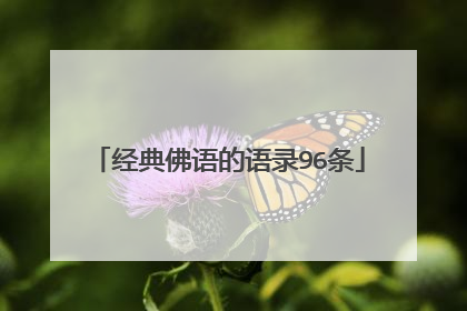 经典佛语的语录96条