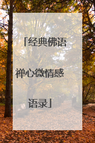 经典佛语禅心微情感语录
