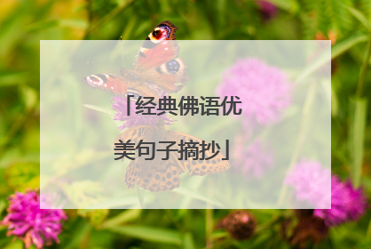 经典佛语优美句子摘抄