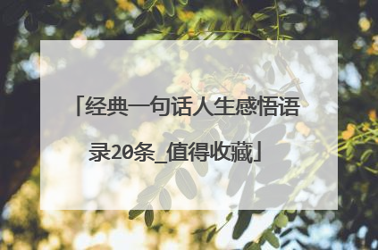 经典一句话人生感悟语录20条_值得收藏