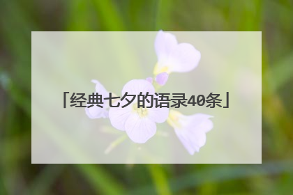 经典七夕的语录40条