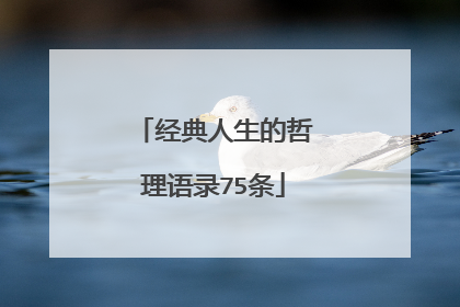 经典人生的哲理语录75条