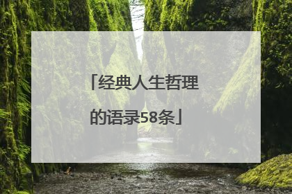 经典人生哲理的语录58条