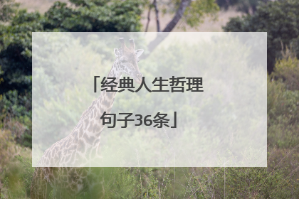 经典人生哲理句子36条
