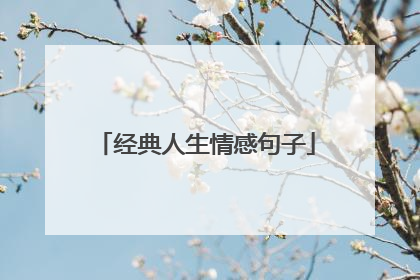 经典人生情感句子