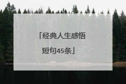 经典人生感悟短句45条