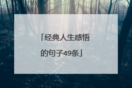 经典人生感悟的句子49条