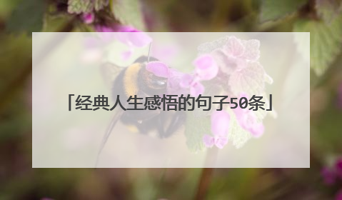 经典人生感悟的句子50条
