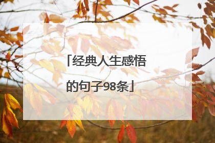 经典人生感悟的句子98条