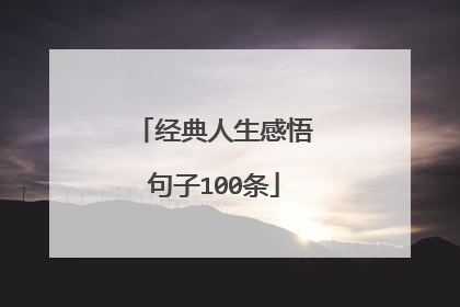 经典人生感悟句子100条