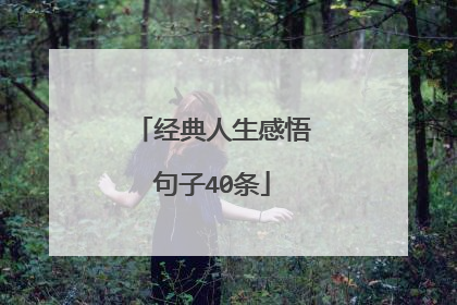 经典人生感悟句子40条
