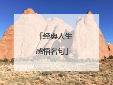 经典人生感悟名句