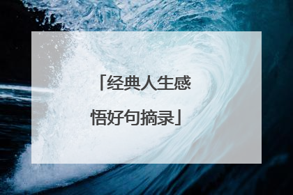 经典人生感悟好句摘录